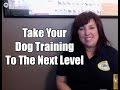 Advanced Dog Trainer Certification | ABC Advanced Dog Trainer Certification | ABC