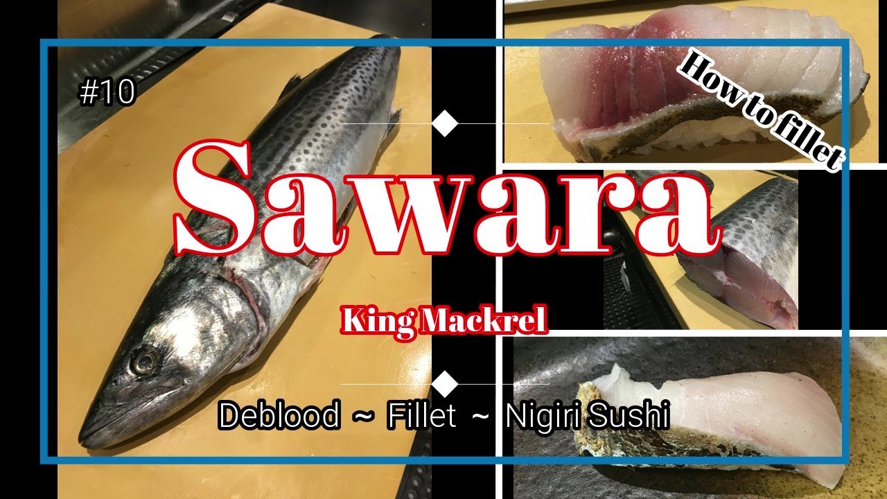 10 Aged 10 Days Sawara King Mackerel Deblood Fillet Nigiri Sushi Youtube