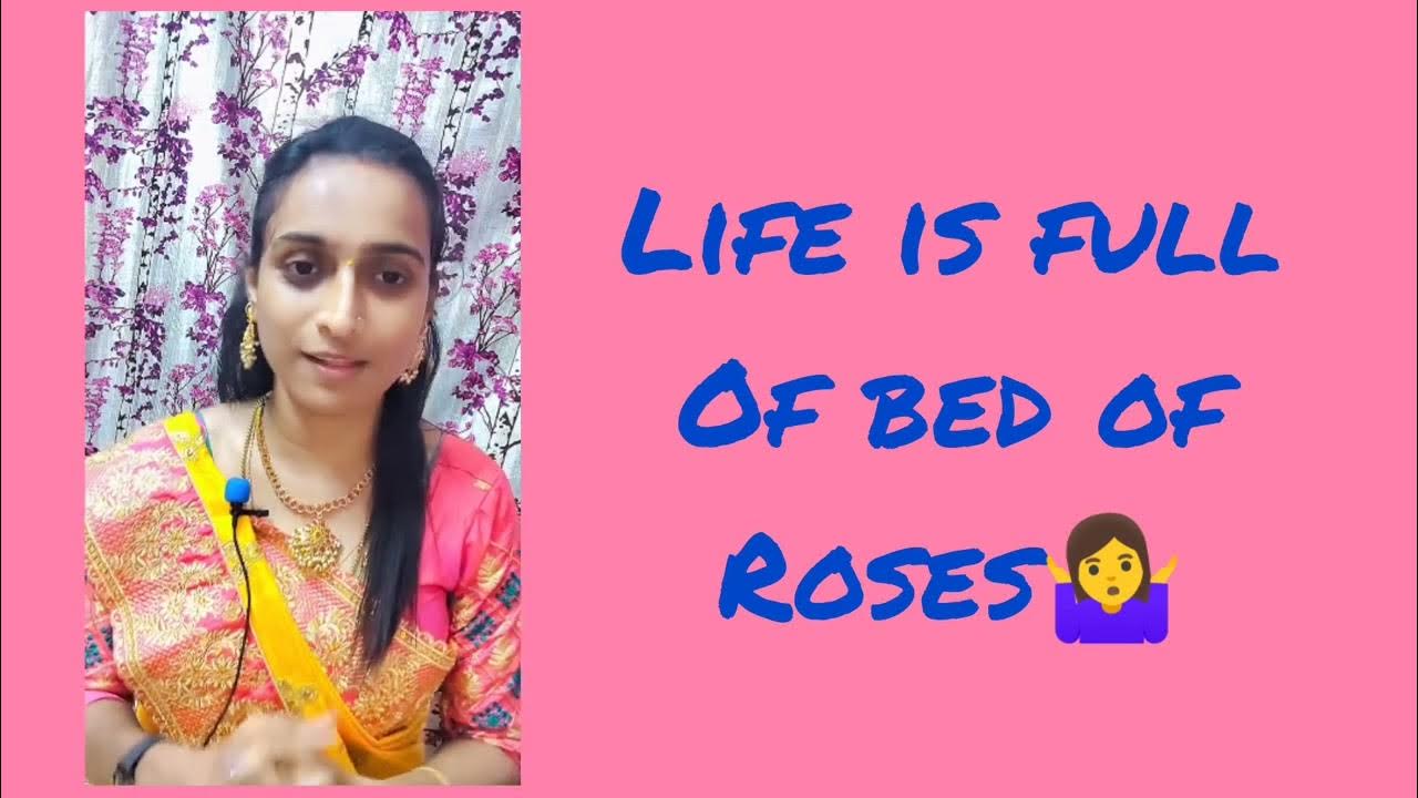 IdiomBed of roses Phrasal verb Wakeup YouTube