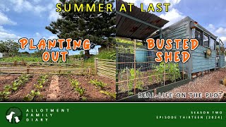 Planting For Summer On Our New Plot | Allotment Vlog Ep. 13