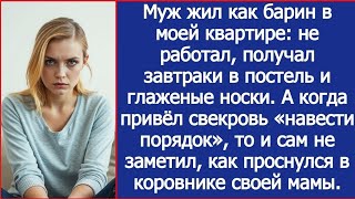 картинка: Муж решил привезти свекровь «навести порядок» в моей квартире и оказался у нее в хлеву в тот же день