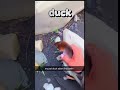 This Cat, Duck & Dog Combo Is Too Funny to Handle! 🤣 #AnimalLaughs #FunnyPets #ViralShorts