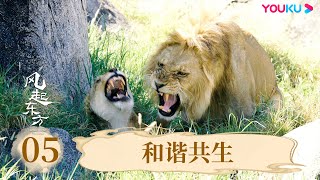 ENGSUB【风起东方 Wind From the East】EP5 和谐共生 | 优酷纪实人文 YOUKU DOCUMENTARY
