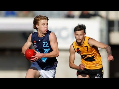 Cam Mackenzie AFL