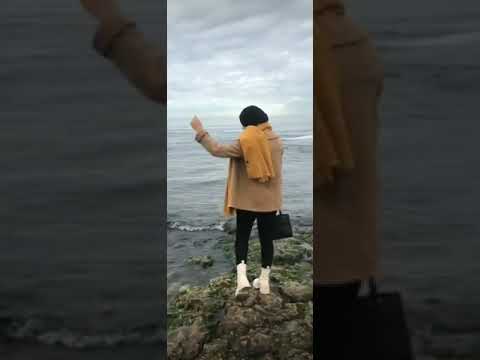 قلبي يقولي لا 