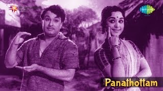 Panathottam | Ennathan Nadakkum song