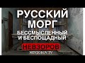 🔴 Стоимость Путина. Жуткие видео- правда о войне. Черви в ранах. Потери.Вера Надежда Любовь- правда.