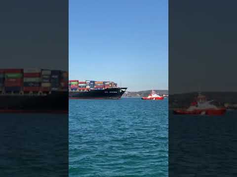 Tugboat operations at Port of Koper - Towing APL Austria Containership part.1 #shorts