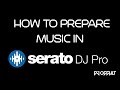 How to Prepare Music in Serato DJ