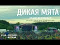 ДИКАЯ МЯТА 2018. Обзор фестиваля. Выступление артистов и ваши отзывы / Хорошая история