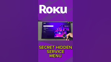 Roku Secret Service Menu #roku #secretmenu  #shorts