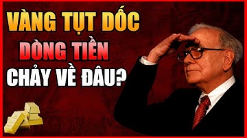 Vàng Tuột Dốc - Dòng Tiền Sẽ Chảy Về Đâu? Phân Tích 3 Kênh Thay Thế Vàng Cuối 2025 và Đầu 2026