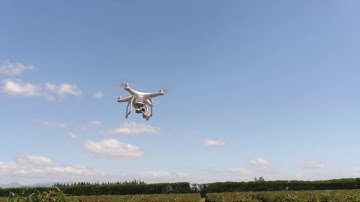 C1 Bird Scaring Drone - DroneMate