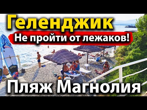 #ГЕЛЕНДЖИК ПЛЯЖ МАГНОЛИЯ