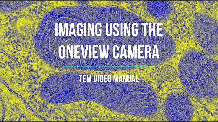Chapter 6 - TEM Video Manual -  Imaging with the OneView camera