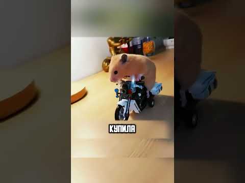 ДЕВУШКА СПАСЛА ХОМЯЧКА ИЗ ЛАП МАТЕРИ🙏