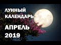 ЛУННЫЙ КАЛЕНДАРЬ на апрель 2019 | Фазы Луны, полнолуние, новолуние, благоприятные дни