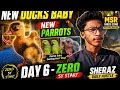 Day 6 | New Parrots 🦜, Ducks Update 🐥 & Shop Hustle Full Vlog | Zero Se Start