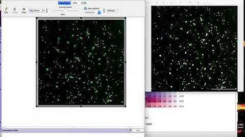 Netlogo Tutorial: creating a world based on a real image