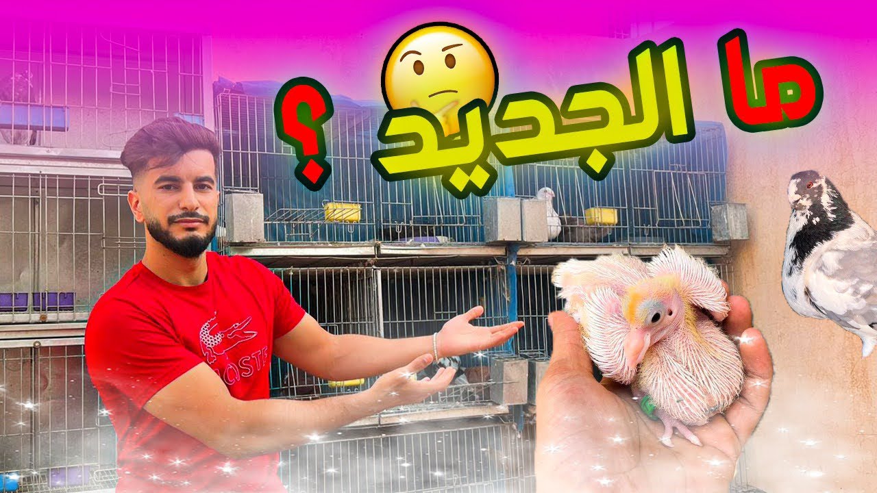 شوفو  شنو شريت من سوق وجدة 😍 Oujda