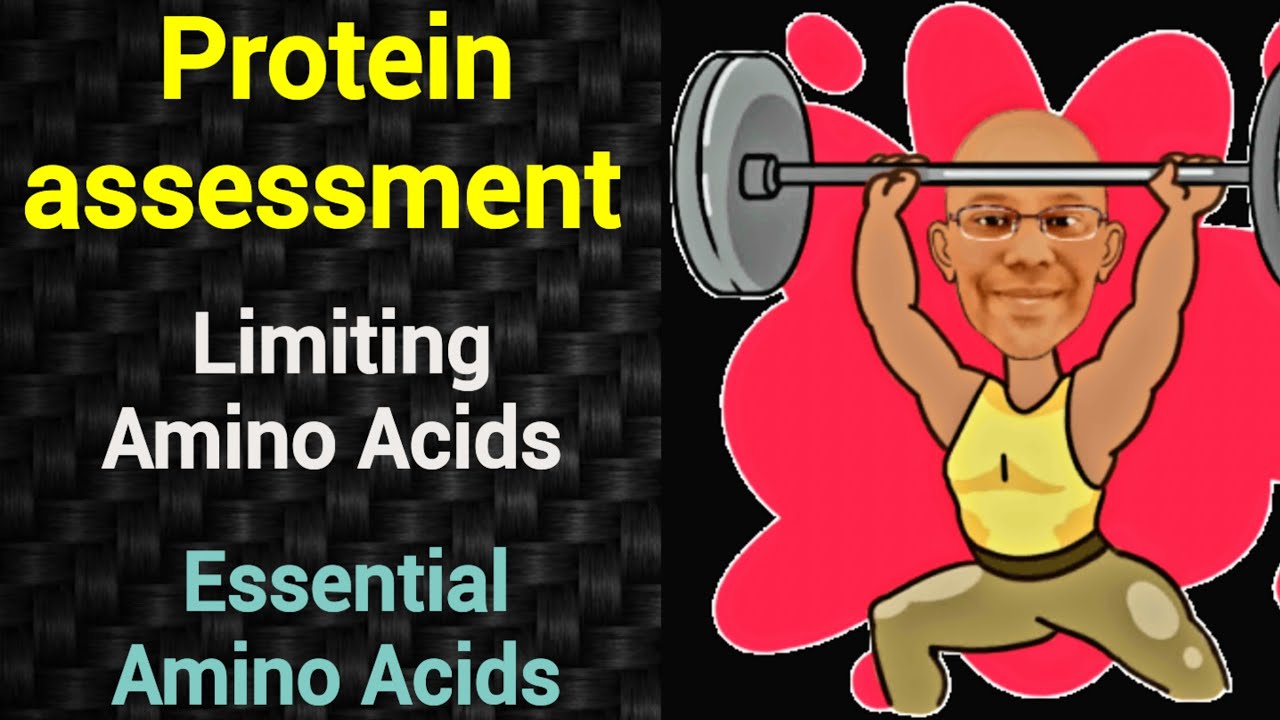 Protein Assessment Limiting Amino Acid Essential Amino Acid PSM 
