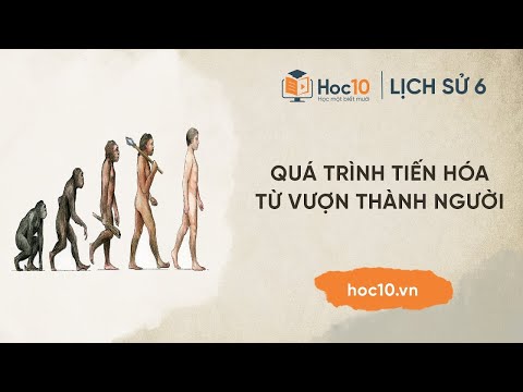 Video: Vũ khí của Thánh George: mô tả, lịch sử và ảnh