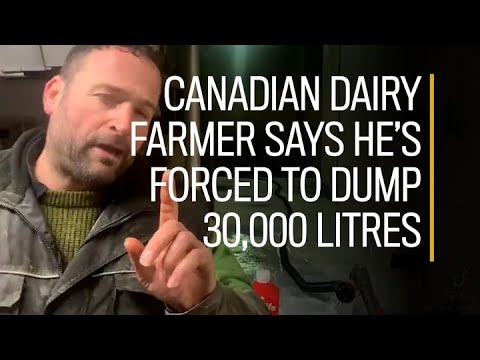 Canadian dairy farmer says he?s forced to dump 30,000 litres of milk