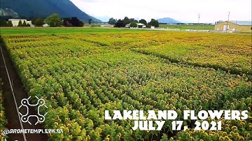 Lakeland Flowers, Abbotsford BC, July 17, 2021