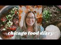 WHAT TO EAT IN CHICAGO | Korean Food, Taiyaki, and the Best Tacos of My Life- Chicago Food Vlog PT 3