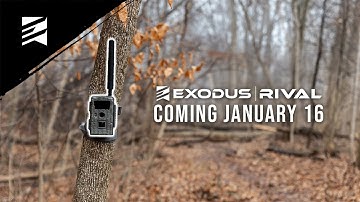 New Budget Cell Camera for 2023: The Exodus Rival is Coming!