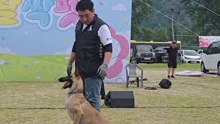 경기도 가평군 2025 자라섬 꽃 페스타.가평군 반려동물 문화행사 활짝펫 훈련사와 함께하는 토크쇼 장소 자라섬 촬영 2025.6.7 오후 1시6분.