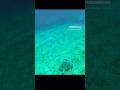 sea turtle saronida #saronidabeach #athens #greece #travel #athensriviera #summer #seaturtle #ath