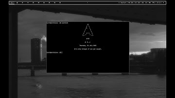 Arch Linux Rice | BSPWM