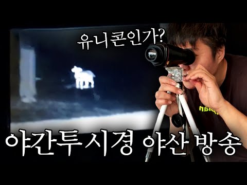 심야 야산에서 야간투시경 방송 중 발견한 생명체