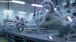 Save Ralph - Kısa Film Türkçe Dublaj Destek Ol