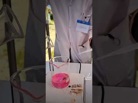 مهرجان كلية مدينة العلم السنوي ٢٠٢٣ ٢٠٢٢ قسم علوم الحياة فعاليات مختبر الكيمياء المرحلة الثانية