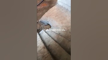 cách bố trí cầu thang lượn 25 bậc đẹp