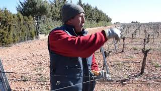 Nuevo hilo de alambre de formación  para viñas parras