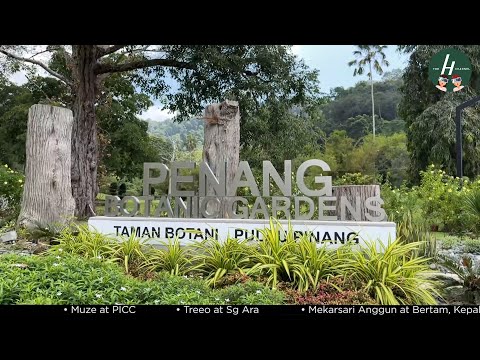 Video: Botanical Garden (Penang Botanic Gardens) piav qhia thiab duab - Malaysia: Penang Island