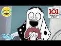101 Dalmatian Street | Target Pups - Episode 🎯 | Disney Channel UK