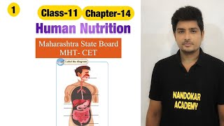 Class-11, Chapter-14, Human Nutrition, Maharashtra State Board, Lecture-1 screenshot 5