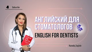 картинка: Английский для Стоматологов | English vocabulary for Dentists | Medical English