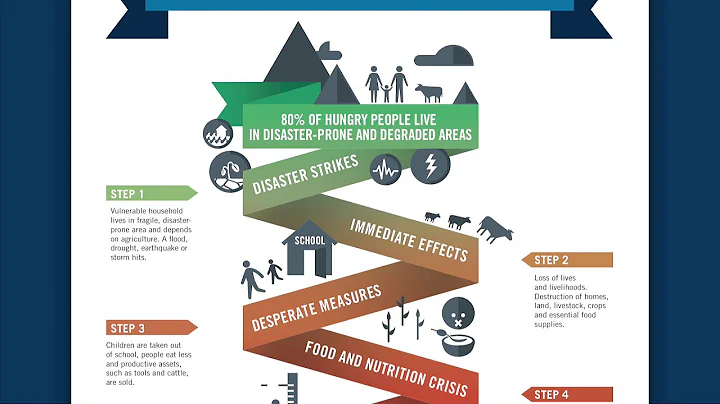Disaster risk reduction WFP (EN)