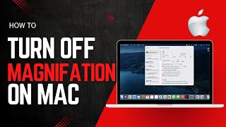 How to Disable Dock Magnification on Mac