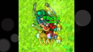 Outfits and Mounts