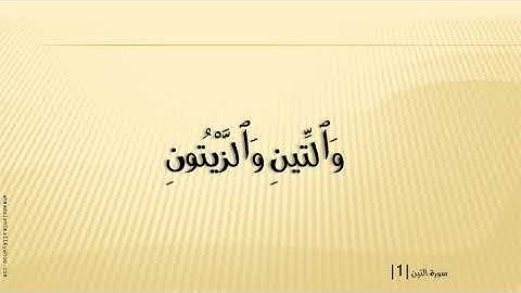 استمع للشيخ قراءة سورة التين هاني الرفاعي