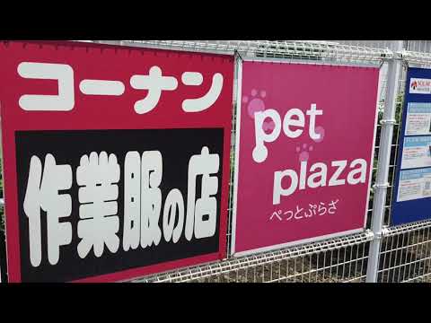 マーケットピア ホームセンターコーナン 保土ケ谷星川店 横浜市保土ケ谷区川辺町