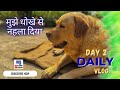 daily vlog | Day 2 | misty Ko nehla diya | मिस्टी को नहला दिया | family vlog