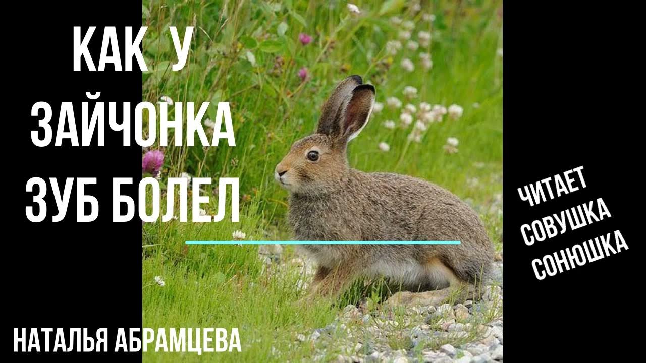 Как у зайчонка зуб болел. Как у зайчонка зуб болел