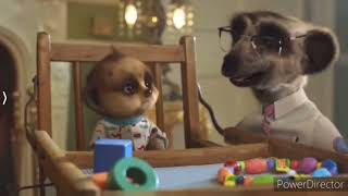 Ytp Meerkat Baby Oleg